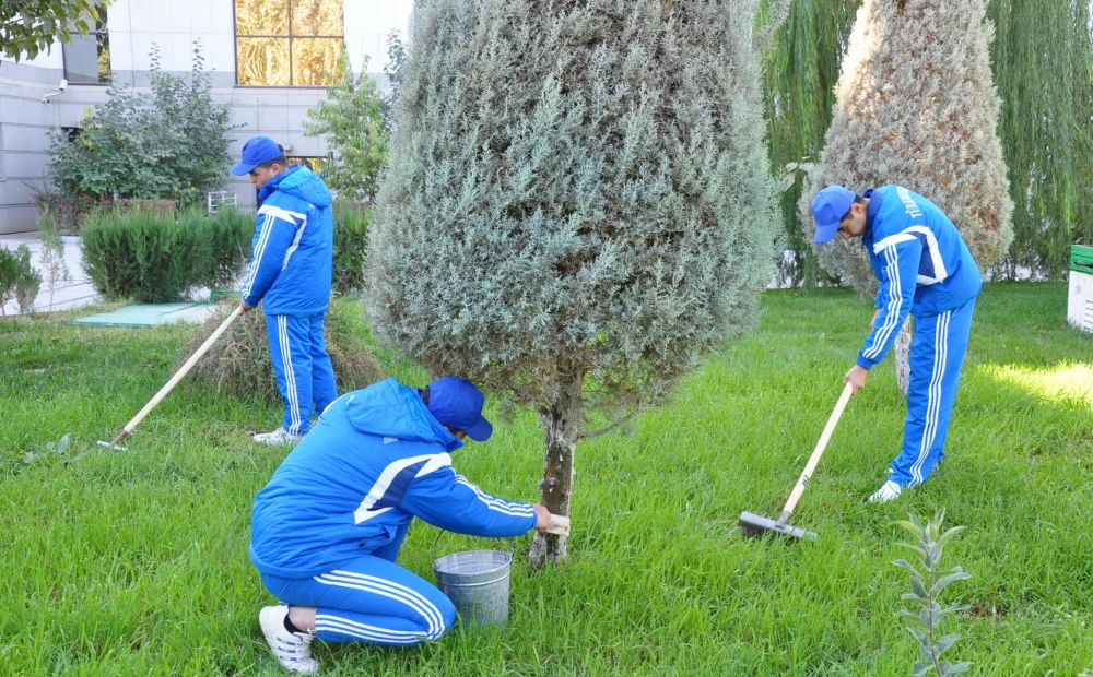 Ýurdumyzda güýzki ählihalk bag ekmek dabarasy geçirildi surady
