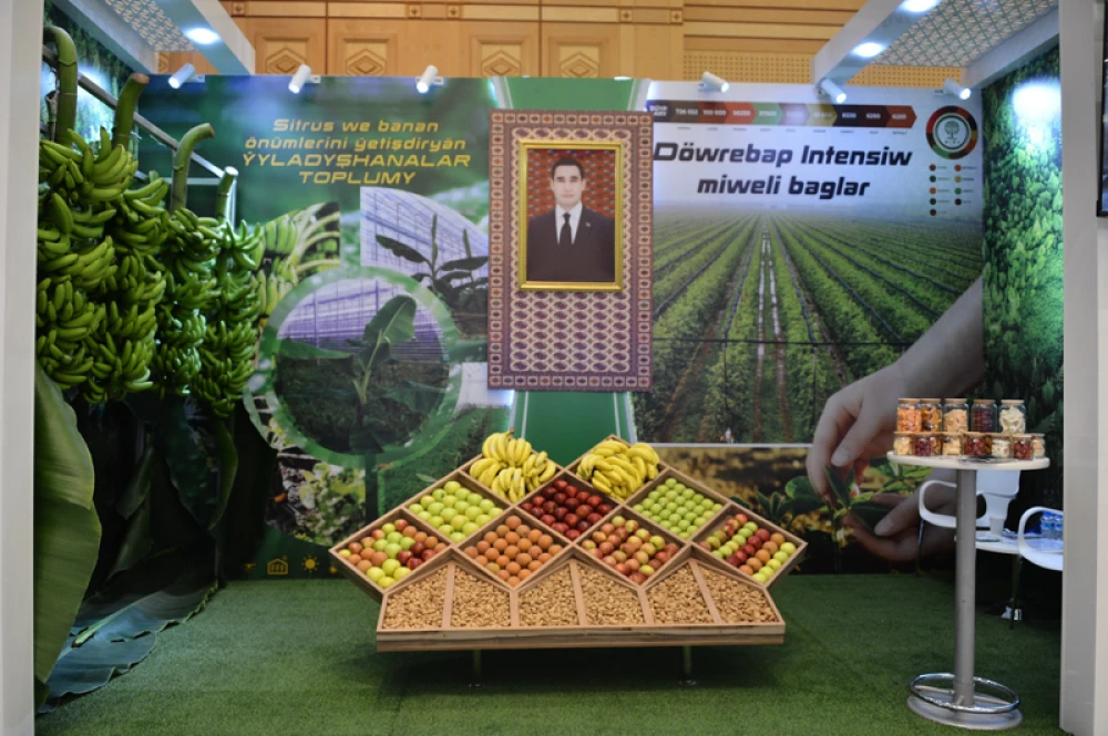 HUSUSY PUDAGYŇ GUWANDYRYJY ÜSTÜNLIKLERI surady