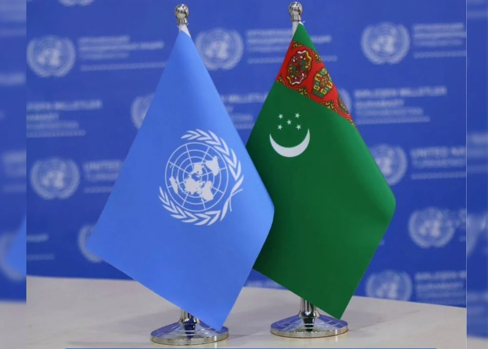 Turkmenistan-UN: priorities of cooperation surady