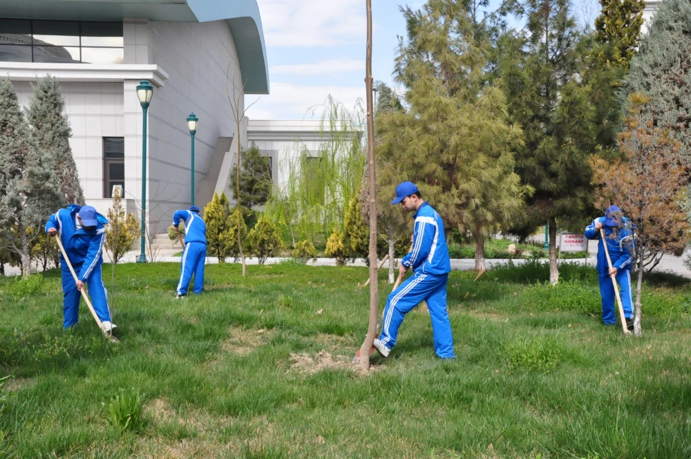 A Nationwide Tree Planting Campaign