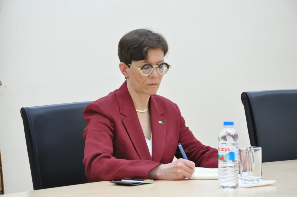 MEETING WITH THE AMBASSADOR