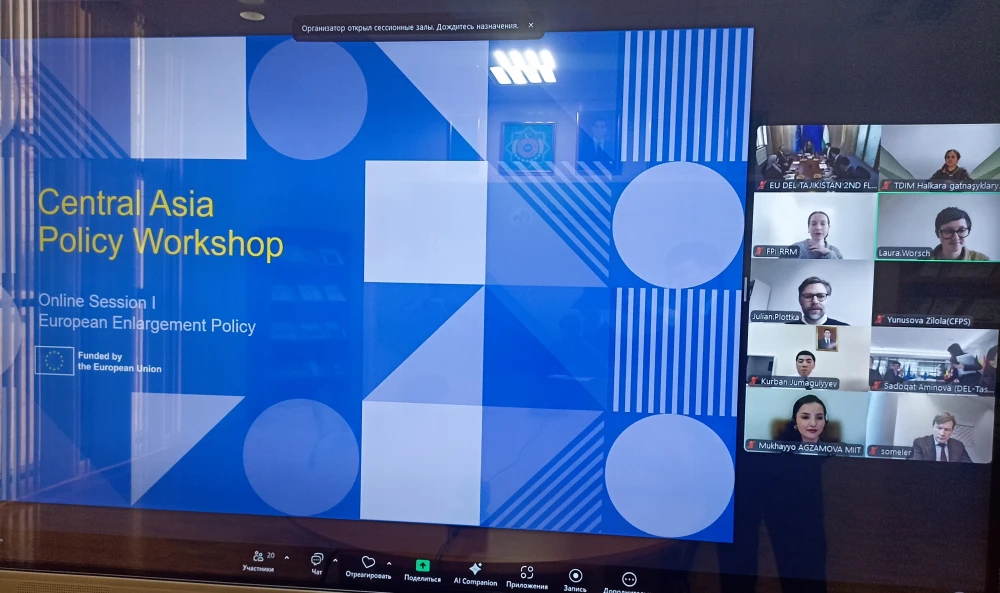 THE FIRST STAGE OF THE ONLINE TRAINING “EUROPEAN UNION - CENTRAL ASIA” TOOK PLACE