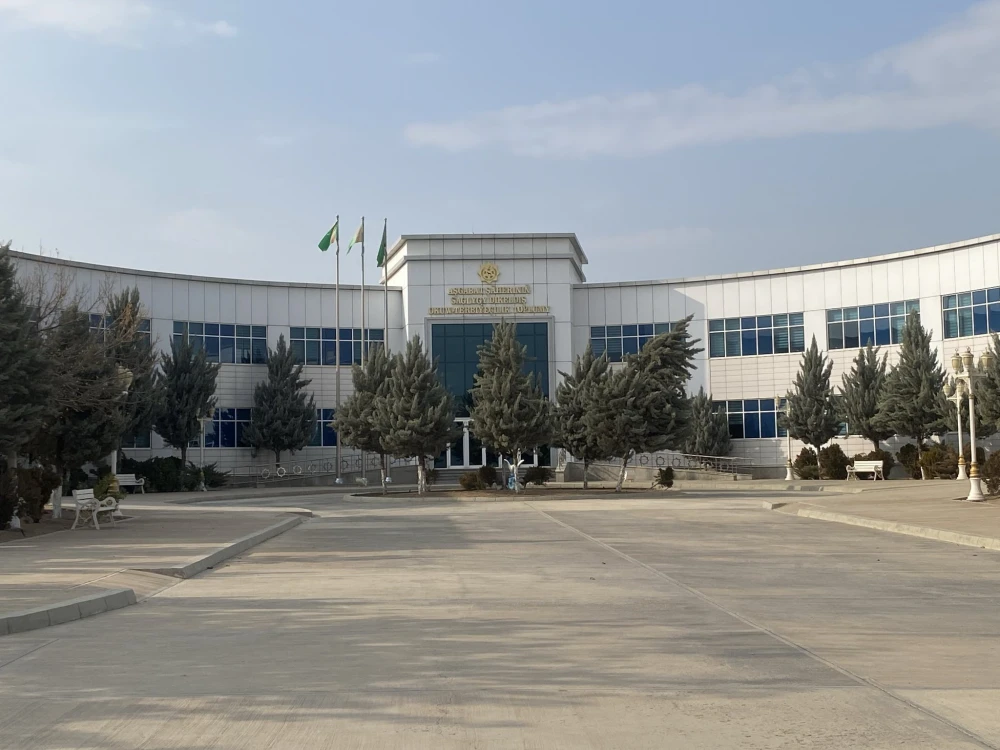 AN INCLUSIVE FESTIVAL UNDER THE TITLE "BOUNDLESS WORLD: EQUAL OPPORTUNITIES FOR ALL" WAS HELD surady