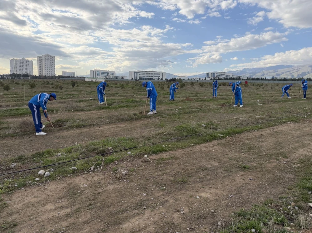 A Nationwide Tree Planting Campaign