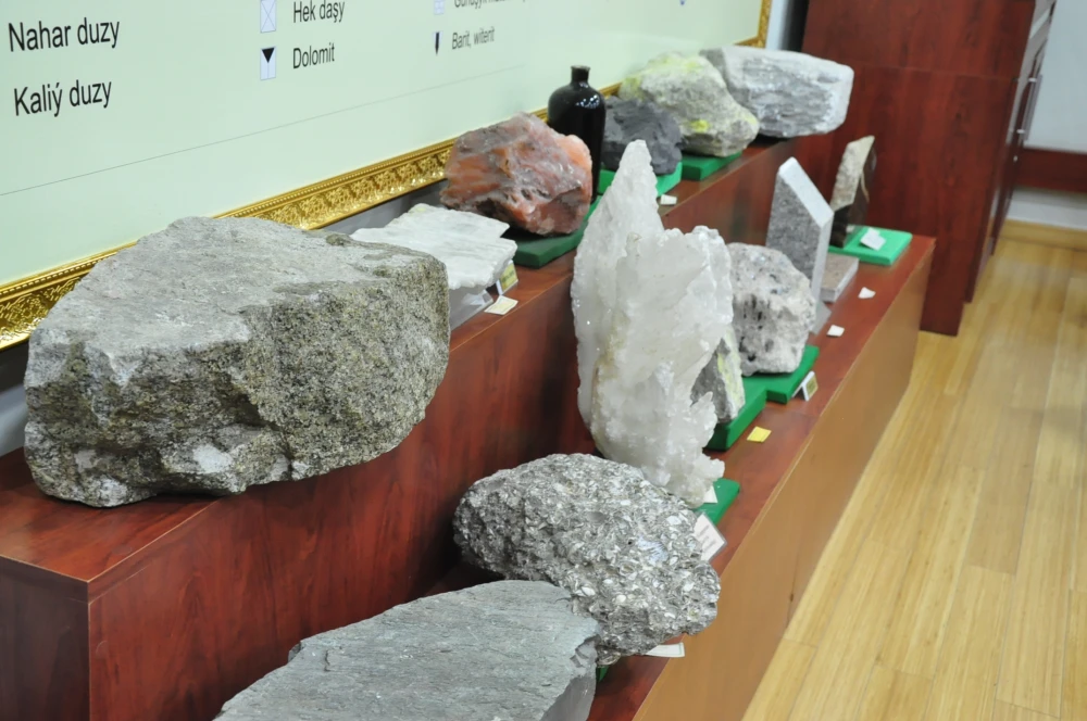 СОСТОЯЛАСЬ ВСТРЕЧА С ИЗВЕСТНЫМ УЧЁНЫМ А.БУШМАКИНЫМ