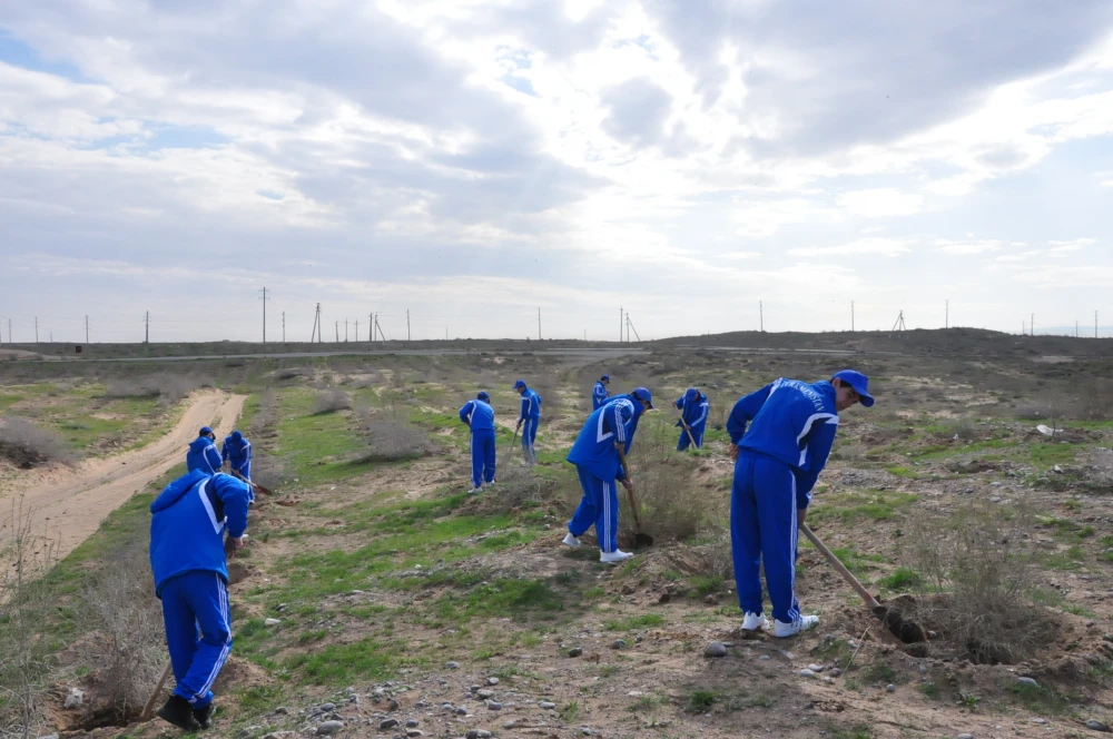 A Nationwide Tree Planting Campaign