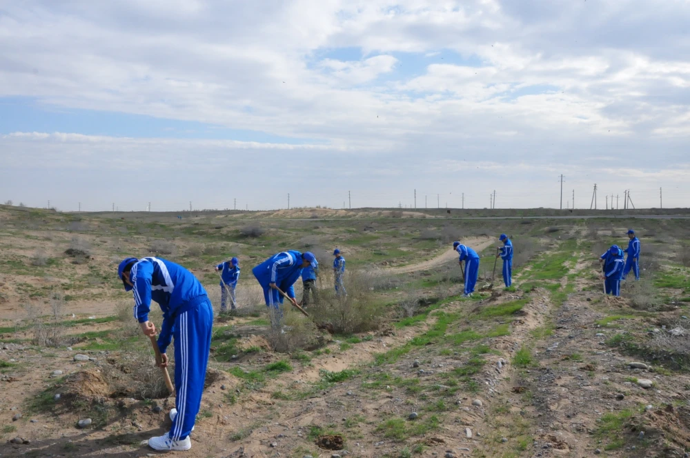 A Nationwide Tree Planting Campaign