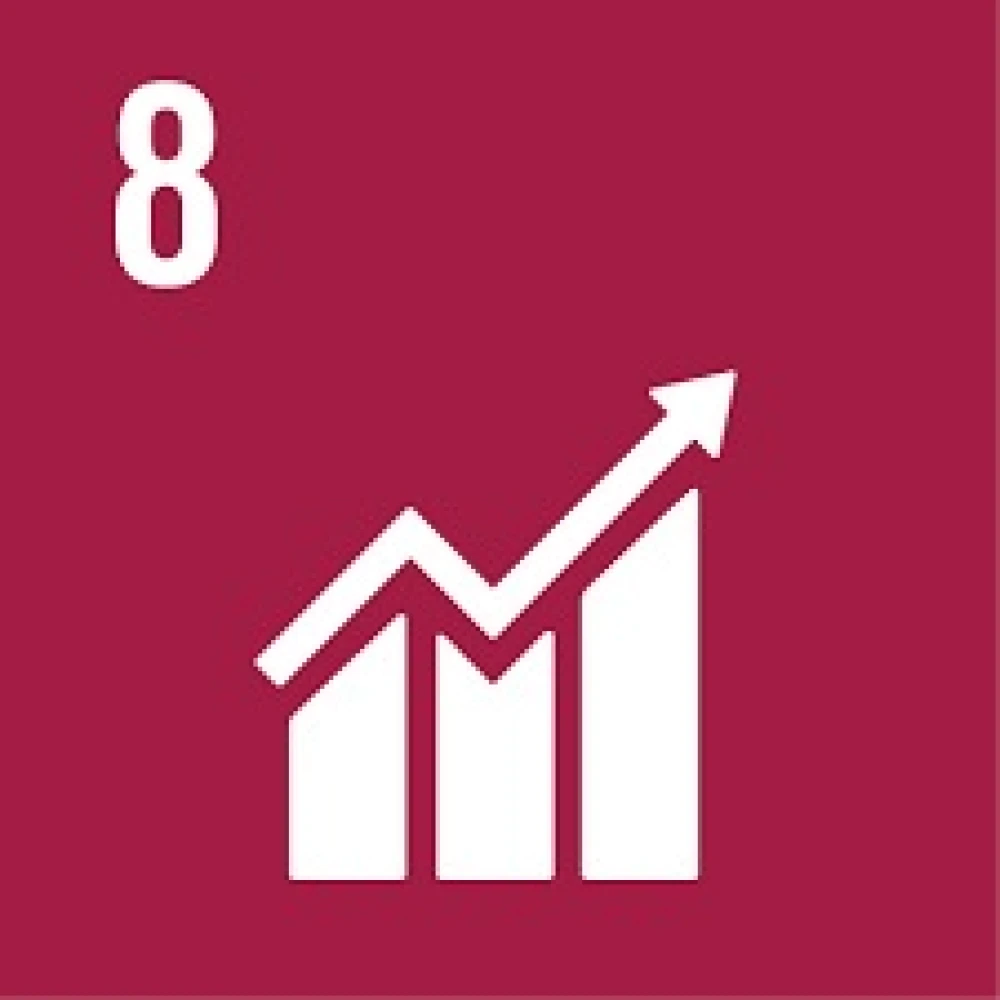 Goal 8 "Decent work and economic growth" surady