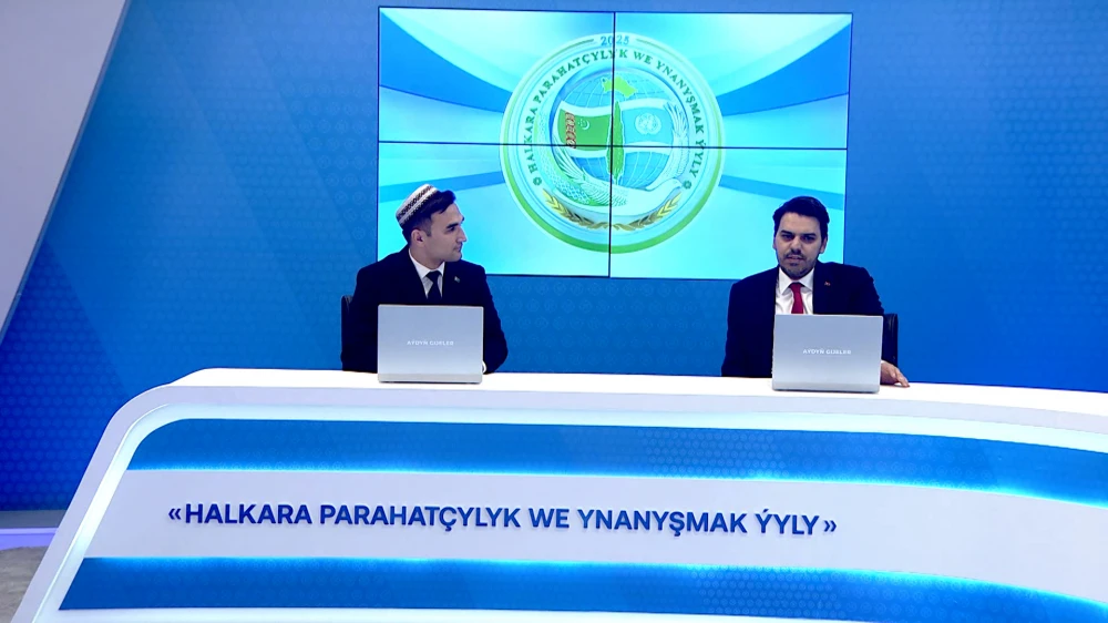 TÜRKIÝE RESPUBLIKASYNYŇ WEKILIÝETINIŇ SAPARY