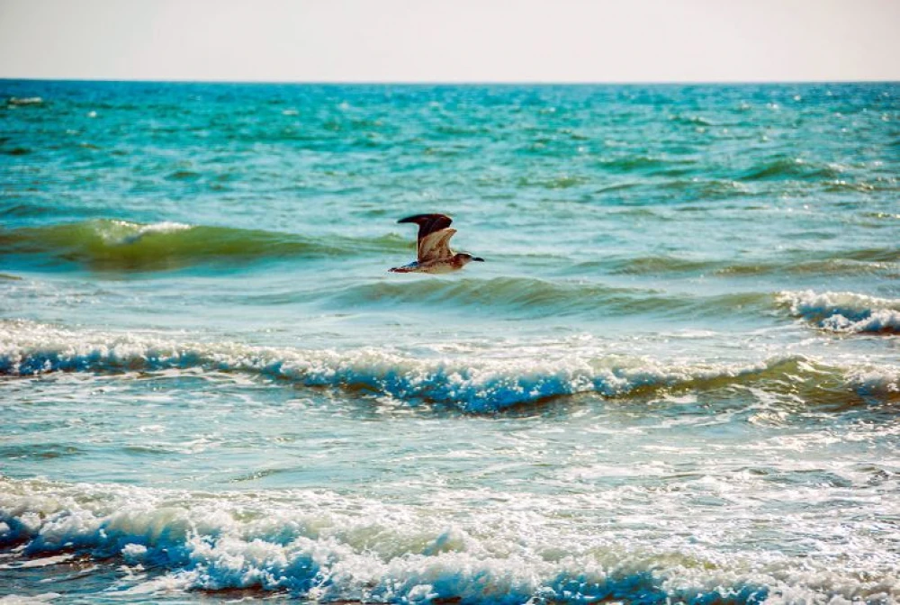 Events for Caspian Sea Day took place in Avaza surady