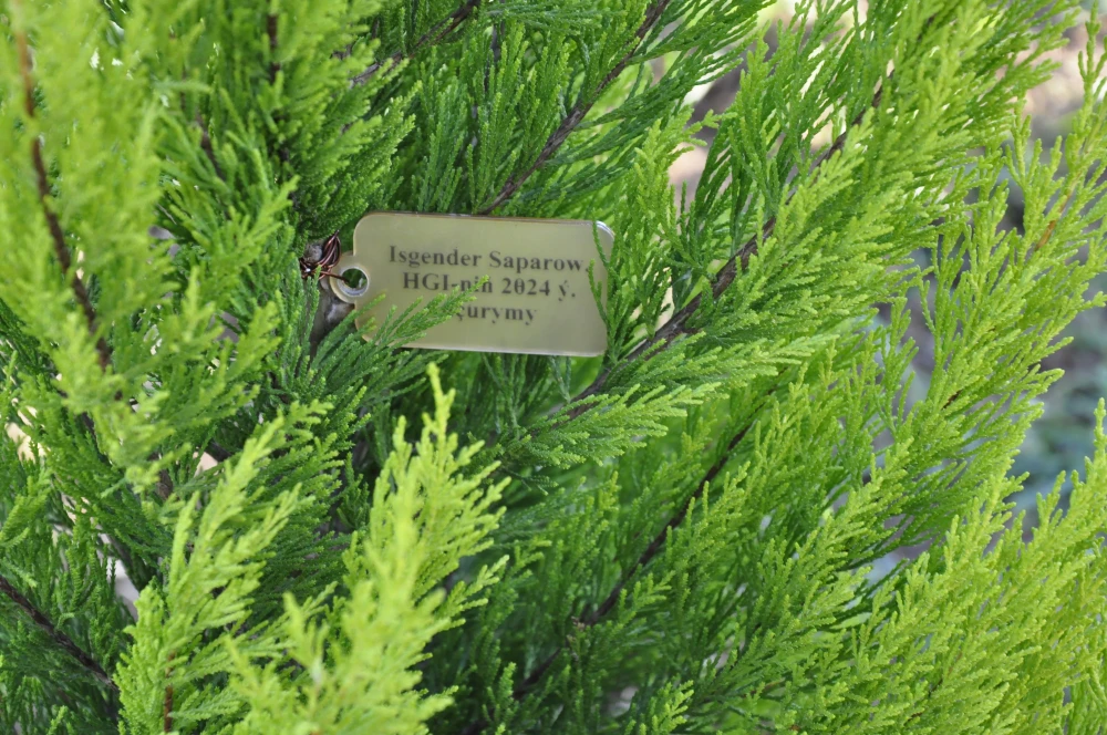 A Memorial Garden Was Planted