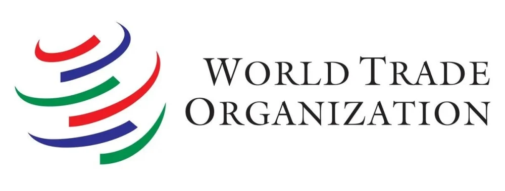 The World Trade Organization: Promoting Fair and Smooth Global Trade surady